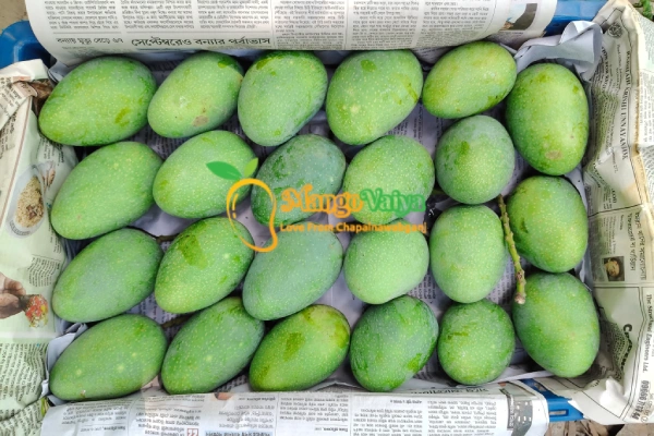 Gopalvog_Gopalbhog Mango গোপালভোগ আম