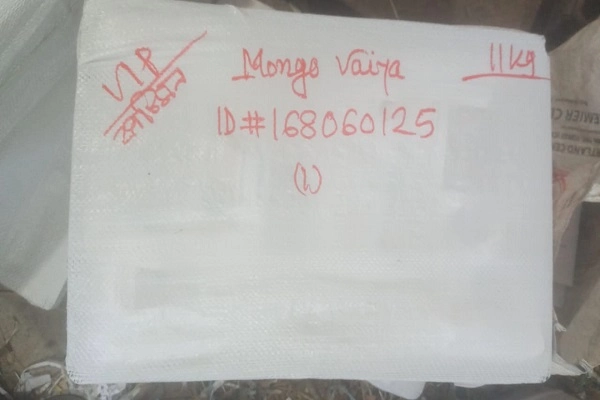 Katimon Mango কাটিমন আম After Packaging