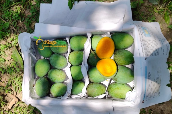 Khirsapat aam _ খিরসাপাত আম