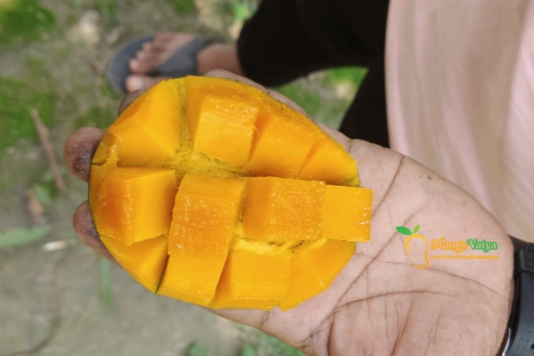 Khirsapat amm _ খিরসাপাত আম