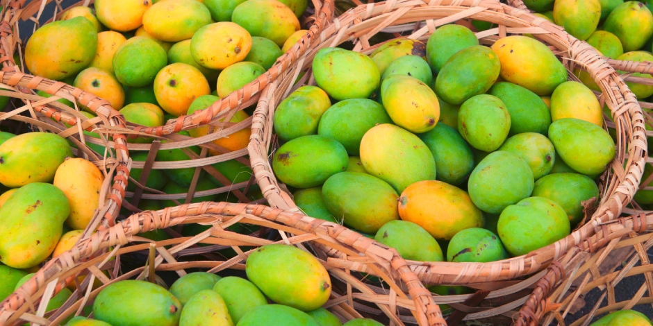 8 Proven Health Benefits of Ripe Mango You Must Know